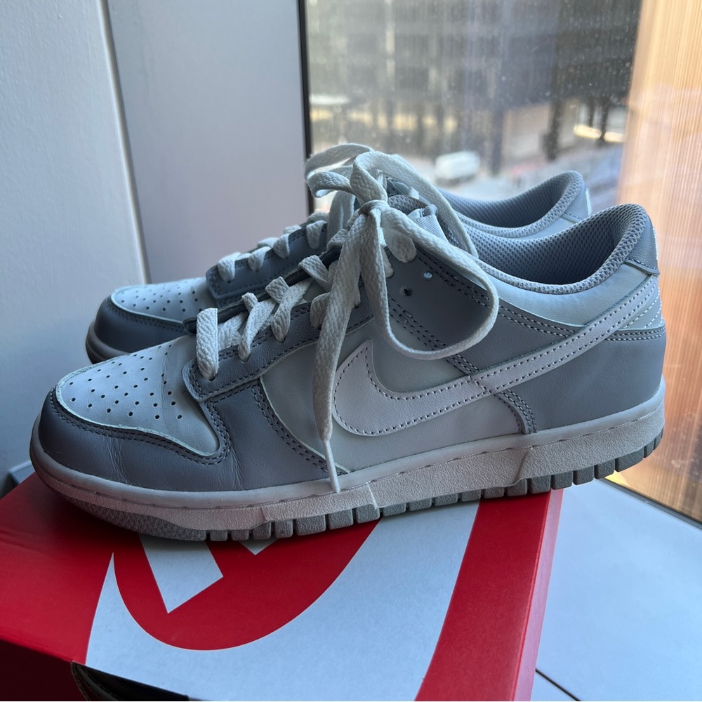 Nike Dunk Low Two Tone Grey